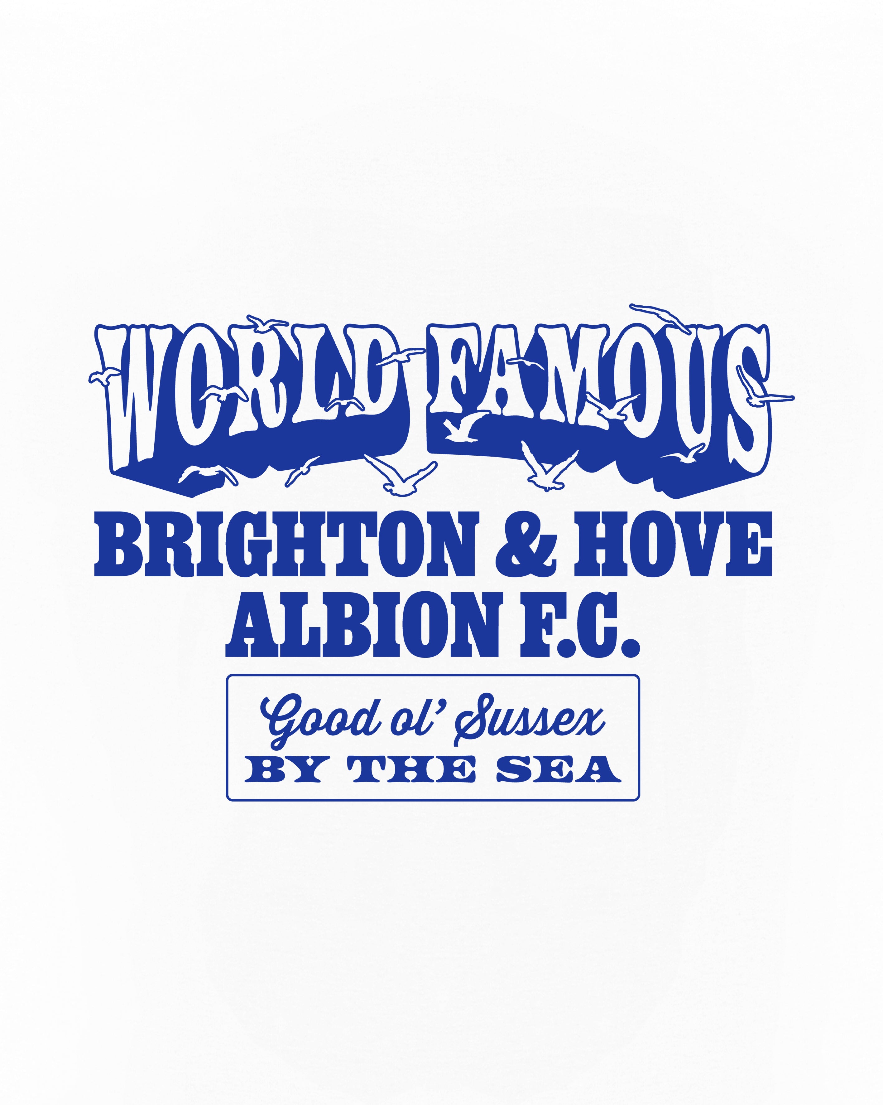 ART OF x Brighton World Famous Tee | BHAFC White Football T-shirt